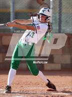 Photo from the gallery "Timberline @ Mountain View"