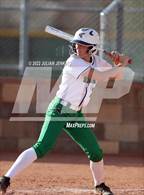Photo from the gallery "Timberline @ Mountain View"