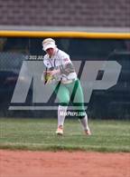 Photo from the gallery "Timberline @ Mountain View"