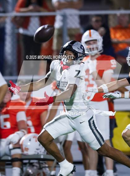 Thumbnail 2 in Panther Creek @ Celina photogallery.