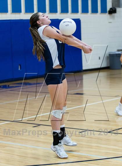 Thumbnail 3 in Palm Harbor University @ East Lake photogallery.