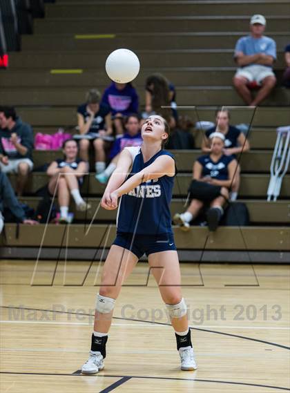 Thumbnail 3 in Palm Harbor University @ East Lake photogallery.