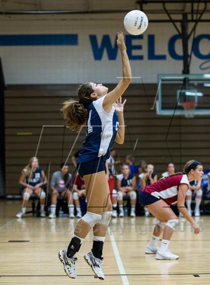 Thumbnail 1 in Palm Harbor University @ East Lake photogallery.