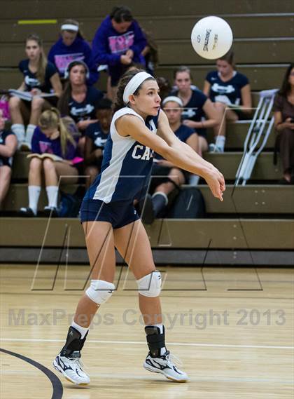 Thumbnail 3 in Palm Harbor University @ East Lake photogallery.