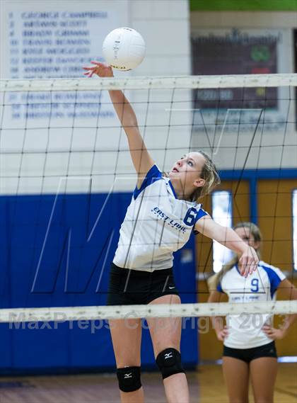 Thumbnail 3 in Palm Harbor University @ East Lake photogallery.