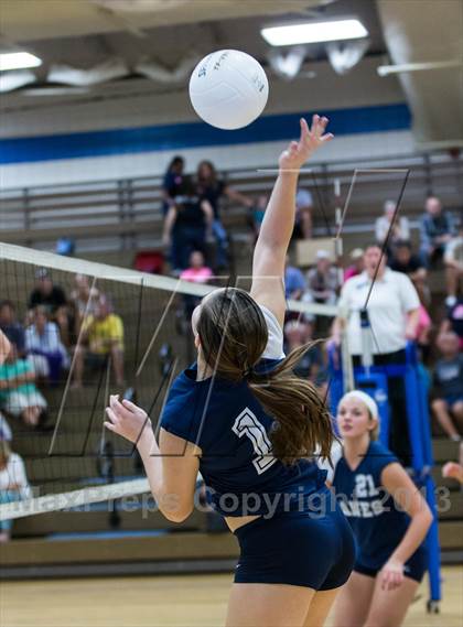 Thumbnail 3 in Palm Harbor University @ East Lake photogallery.