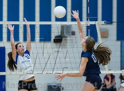 Thumbnail 3 in Palm Harbor University @ East Lake photogallery.