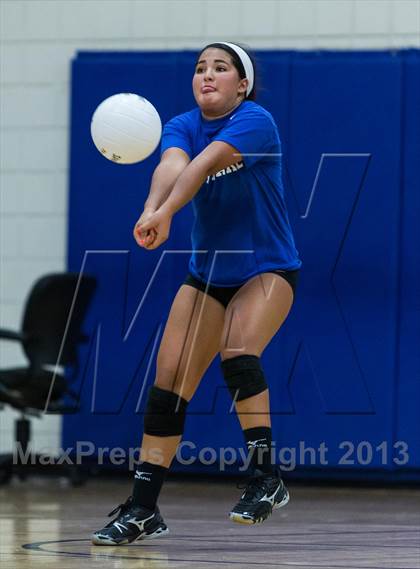 Thumbnail 3 in Palm Harbor University @ East Lake photogallery.