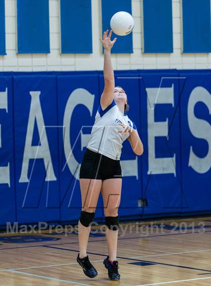 Thumbnail 3 in Palm Harbor University @ East Lake photogallery.