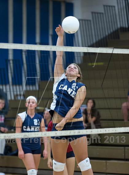 Thumbnail 1 in Palm Harbor University @ East Lake photogallery.