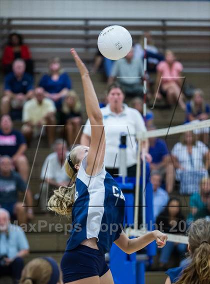 Thumbnail 1 in Palm Harbor University @ East Lake photogallery.