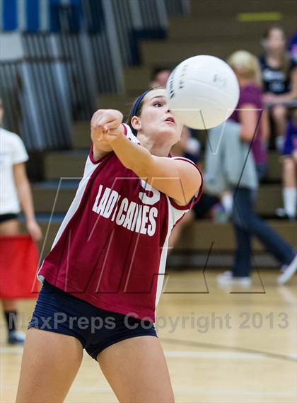 Thumbnail 2 in Palm Harbor University @ East Lake photogallery.