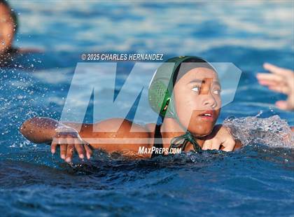 Thumbnail 1 in Palos Verdes @ Mira Costa photogallery.