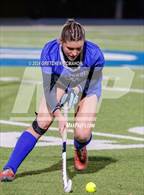 Photo from the gallery "Glastonbury @ Wilton"