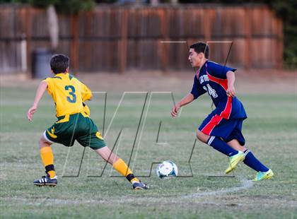 Thumbnail 2 in Pleasant Grove @ Rio Americano photogallery.