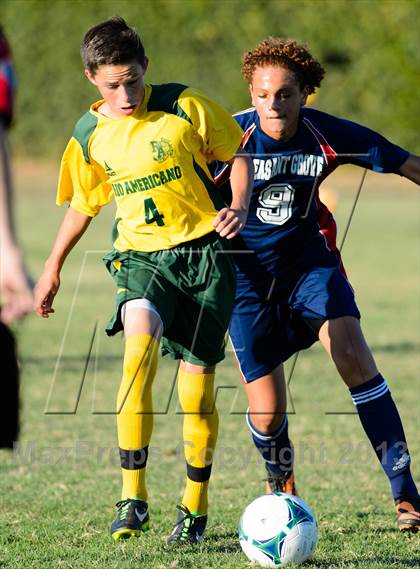 Thumbnail 3 in Pleasant Grove @ Rio Americano photogallery.