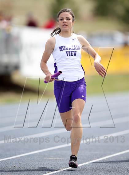 Thumbnail 1 in Muller Runners Roost photogallery.