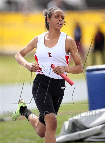 Thumbnail 1 in Muller Runners Roost photogallery.