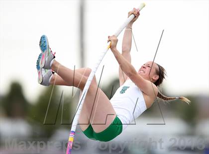 Thumbnail 2 in Muller Runners Roost photogallery.