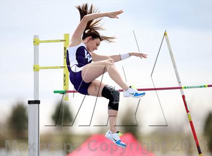 Thumbnail 2 in Muller Runners Roost photogallery.