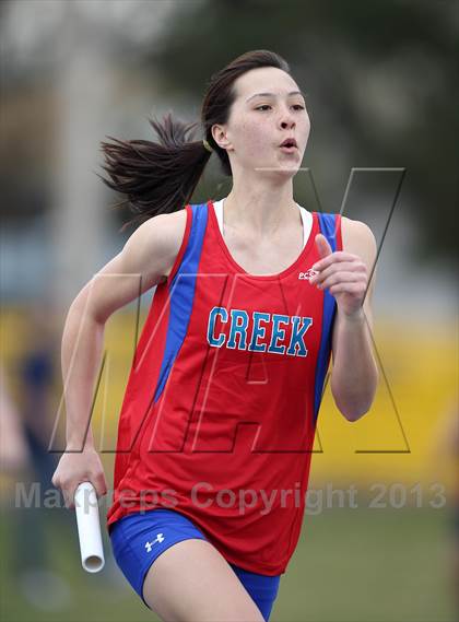 Thumbnail 2 in Muller Runners Roost photogallery.