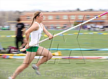 Thumbnail 1 in Muller Runners Roost photogallery.