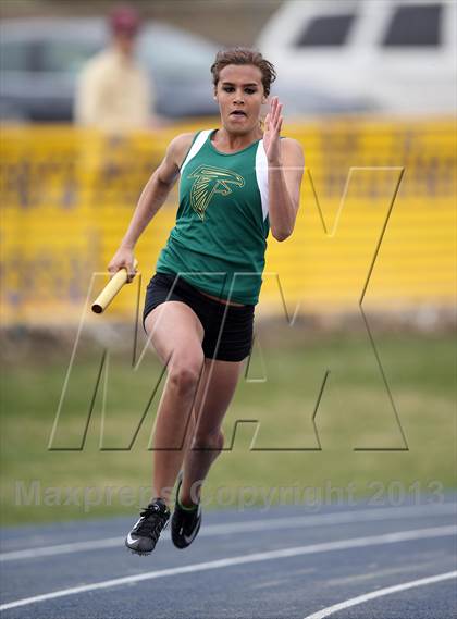 Thumbnail 1 in Muller Runners Roost photogallery.