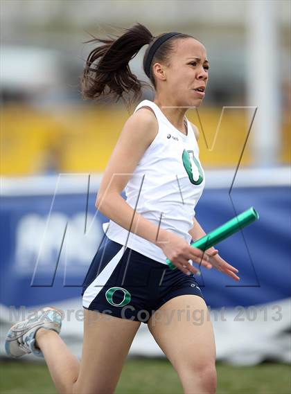 Thumbnail 1 in Muller Runners Roost photogallery.