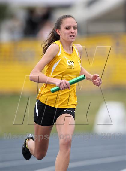 Thumbnail 1 in Muller Runners Roost photogallery.