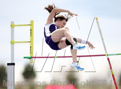 Thumbnail 1 in Muller Runners Roost photogallery.