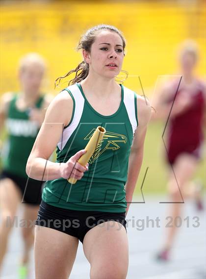 Thumbnail 1 in Muller Runners Roost photogallery.
