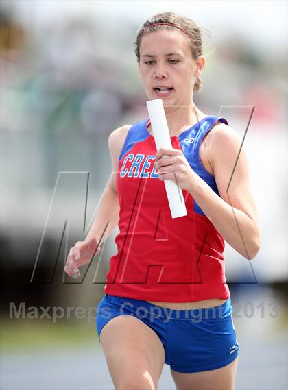 Thumbnail 1 in Muller Runners Roost photogallery.