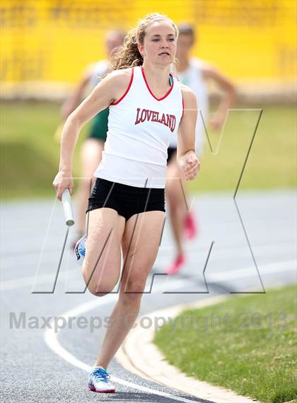 Thumbnail 3 in Muller Runners Roost photogallery.