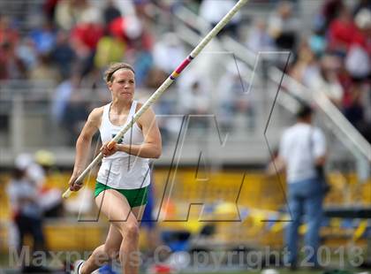 Thumbnail 1 in Muller Runners Roost photogallery.