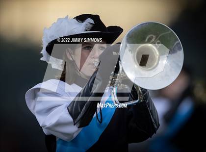 Thumbnail 1 in Marion @ Jersey photogallery.