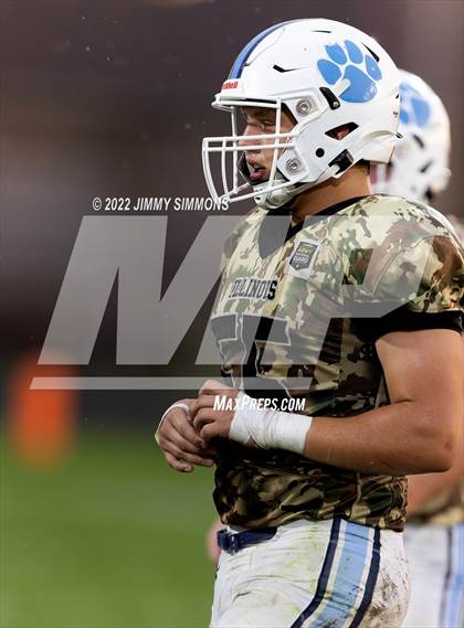 Thumbnail 1 in Marion @ Jersey photogallery.