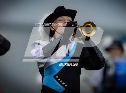 Thumbnail 3 in Marion @ Jersey photogallery.