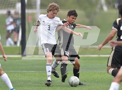 Thumbnail 1 in Long Beach Poly @ Servite (CIF-SS D1 Playoffs) photogallery.