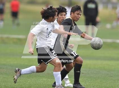 Thumbnail 1 in Long Beach Poly @ Servite (CIF-SS D1 Playoffs) photogallery.