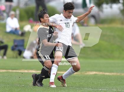 Thumbnail 2 in Long Beach Poly @ Servite (CIF-SS D1 Playoffs) photogallery.