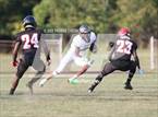 Photo from the gallery "Timber Creek Regional @ St. Thomas Aquinas"