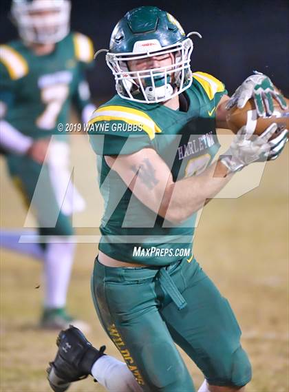 Thumbnail 2 in Joaquin @ Harleton photogallery.