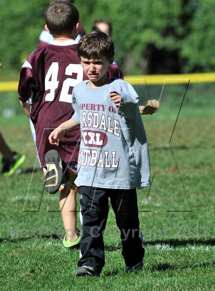 Thumbnail 2 in Suffern @ Scarsdale photogallery.