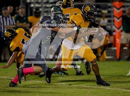 Thumbnail 3 in Rutherford @ South Walton photogallery.