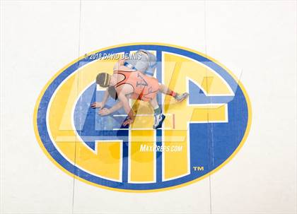 Thumbnail 2 in CIF State Boys Wrestling Championships (Finals) photogallery.