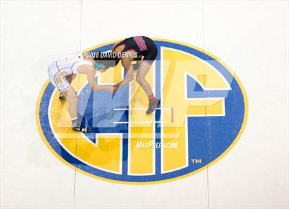 Thumbnail 2 in CIF State Boys Wrestling Championships (Finals) photogallery.