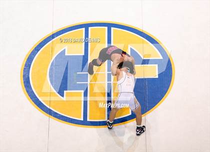 Thumbnail 2 in CIF State Boys Wrestling Championships (Finals) photogallery.