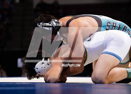 Thumbnail 3 in CIF State Boys Wrestling Championships (Finals) photogallery.