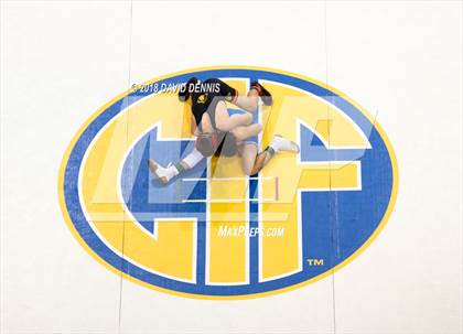 Thumbnail 1 in CIF State Boys Wrestling Championships (Finals) photogallery.