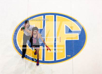 Thumbnail 1 in CIF State Boys Wrestling Championships (Finals) photogallery.